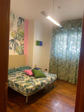 BibiHouse